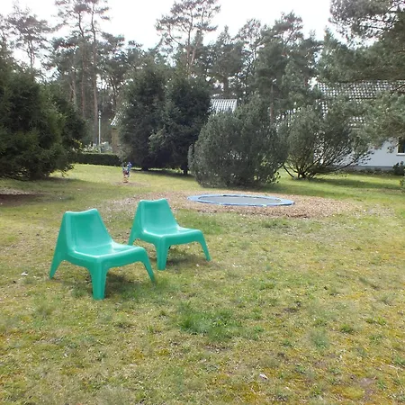 Buntspecht A 3*